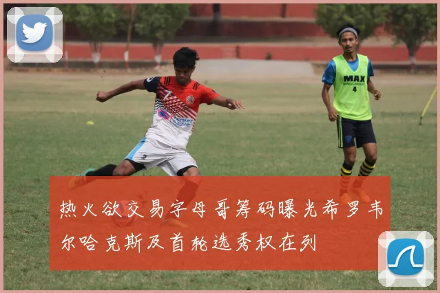 热火欲交易字母哥筹码曝光希罗韦尔哈克斯及首轮选秀权在列